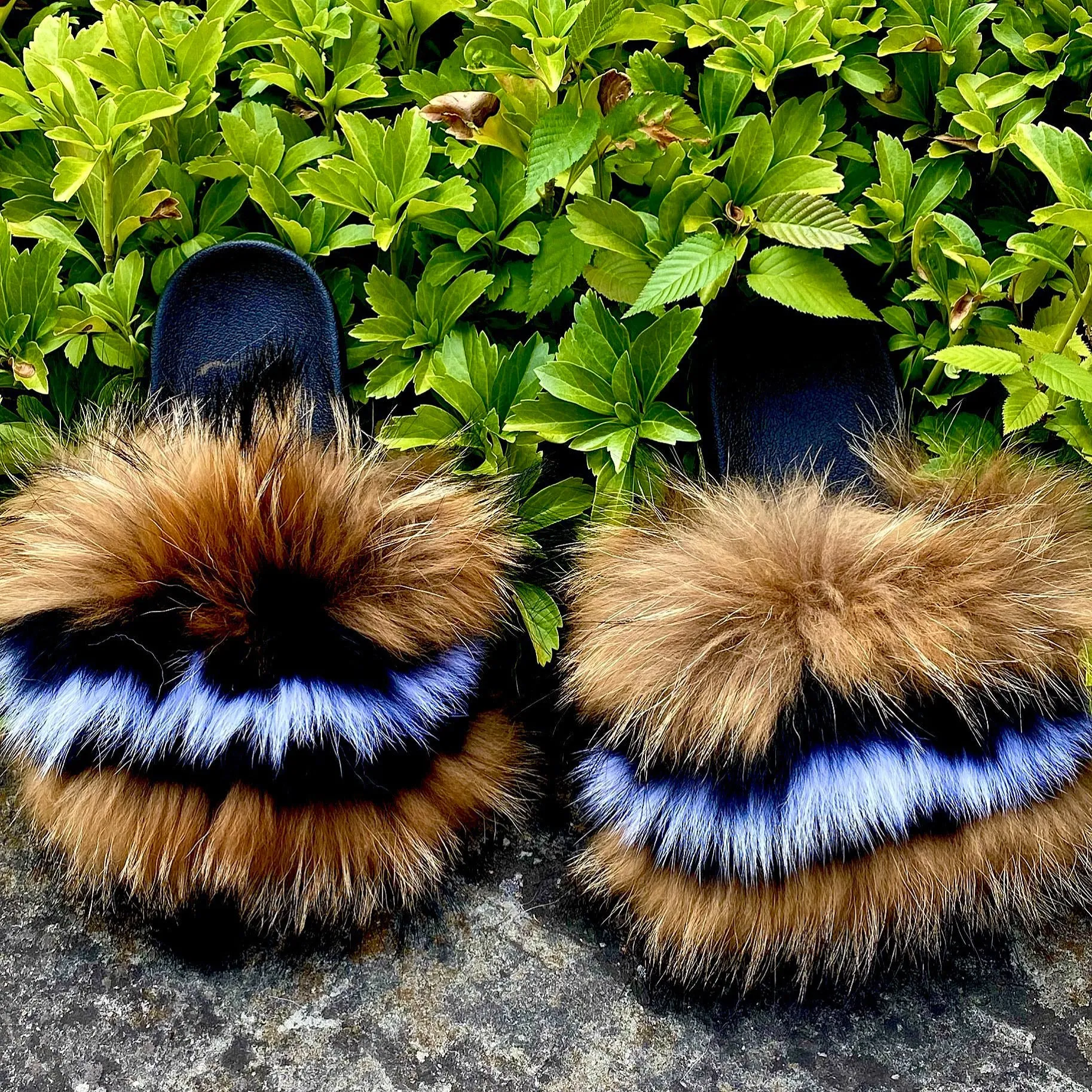 Foxy Furr Slides